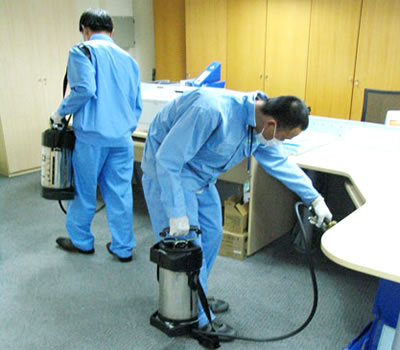 diệt mối tận gốc