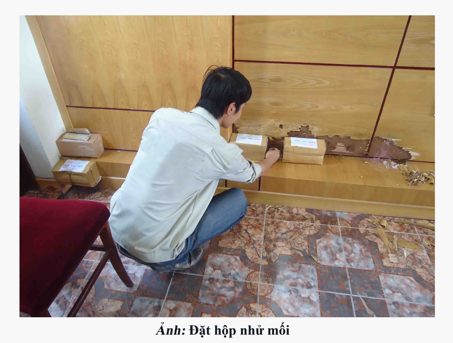 công ty diệt mối tại tp vinh, nghệ an