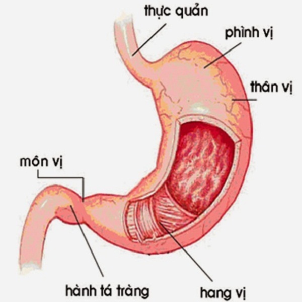 lau kính toa nhà